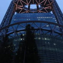 このビルの最上階です