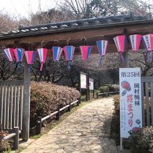 岡村梅林
