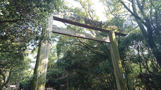 観光客だけではなく。