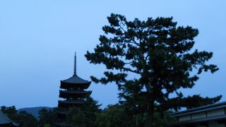 見どころたっぷり☆