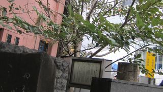 ファンの方はぜひ