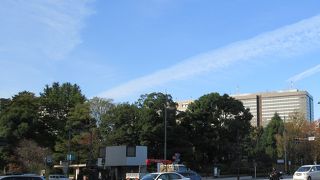 東京を代表する公園の一つです。