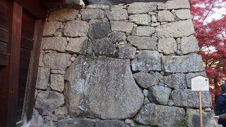 こりゃ確かに動かんは