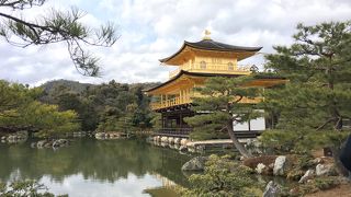 ベビーカーでの散策はなんとか可能