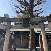 小さな神社です