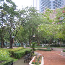 朝早い時間に。