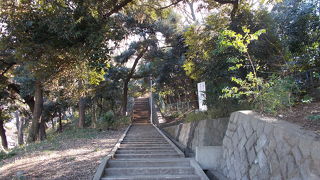 丘全体が公園です。