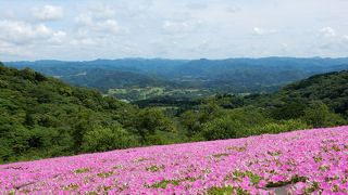 千葉県の有名スポット