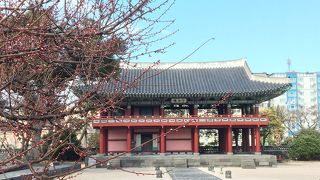 韓国風の建物