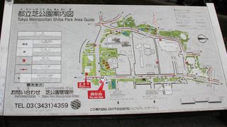 東京タワーがきれいに見えますね