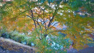 御所と同じ鬼門封じが見られる