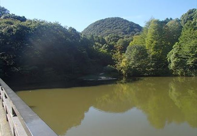 甲山森林公園 クチコミ アクセス 営業時間 西宮 芦屋 フォートラベル