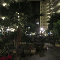 食事をしたところ