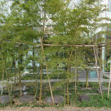 正面からの眺め