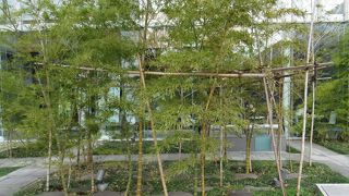 配置は出土状況を再現とのことだがどう見ても分からないのですが・・・・