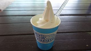 毎回食べたくなる雪塩ソフト