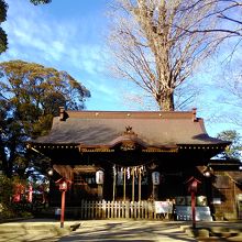 社殿の裏にも大イチョウが見えます