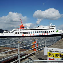 綺麗なオリーブライン