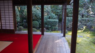 穴場かもしれません。