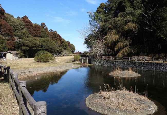 マヒワが見られました。