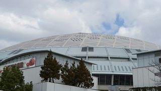 野球もコンサートもイベントも