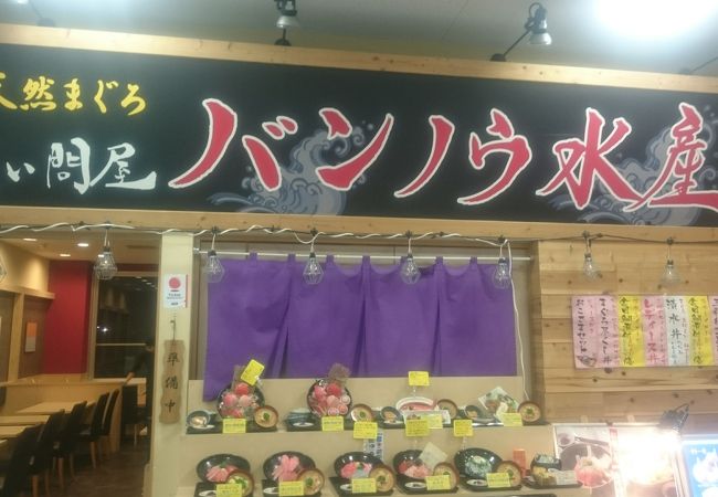 マグロづくしを満喫