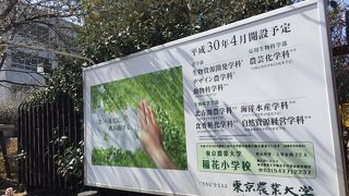 経堂駅から商店街を抜けて20分くらいです。