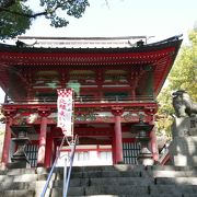 良縁参りの夫婦楠がある古くからの神社