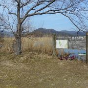 琵琶湖の内湖　静かな景色が楽しめる