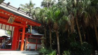 トロピカルな神社