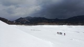 見学ツアーに参加