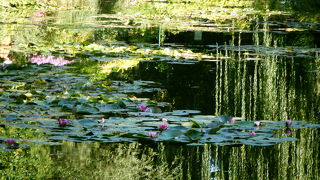 どこを撮っても絵になる