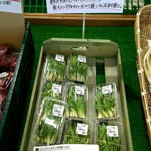 初めて出会った食材