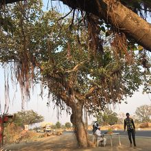 喉が乾いたら道路沿いのお店に自由に立ち寄れるのもタクシー