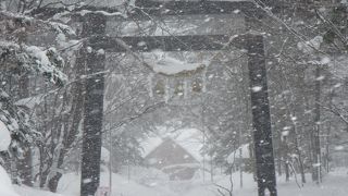 桜咲く春を待つ深雪の中の神社