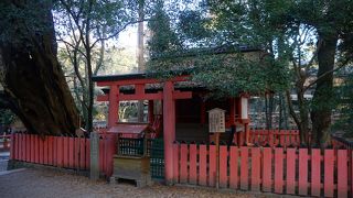 ここまで来る観光客はあまりいないのではないかと思います。