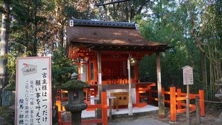 「一つだけ願いを叶えてくださる」の看板でなかなか目立っています