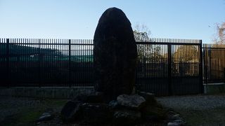 鹿の保護を行う施設