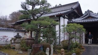 訪ねるのも遠慮すべきところかなと思います