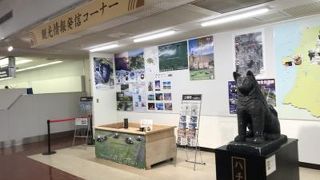 市内からは30分ほど