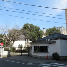 正面からの様子