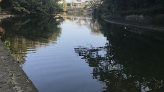 いままでたどり着くことができていませんでした