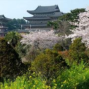 4月初めには、菜の花や桜が満開だった薬泉寺