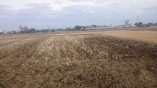 広大な関東平野を走る大ローカル線