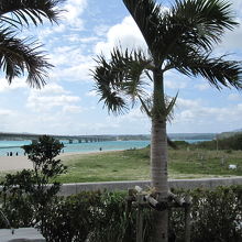 物産センターの裏から古宇利大橋を望む