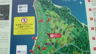 心をなごませる緑濃い備瀬のフクギ並木