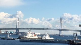 あまり目立たない