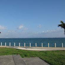 公園からの金武湾の眺望