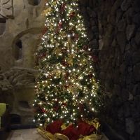 12月だったので綺麗なツリーが飾られていました。