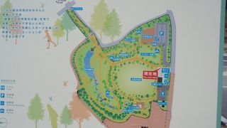 山背古道を歩く途中で木津川運動公園に寄りました